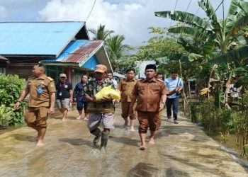 Wabup Barsel Serahkan Bantuan bagi Warga Terdampak Banjir di Desa Talio