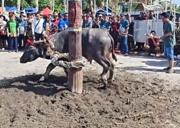 DESA THAWA LAKSANAKAN ACARA RITUAL TIWAH MASAL