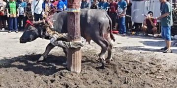DESA THAWA LAKSANAKAN ACARA RITUAL TIWAH MASAL