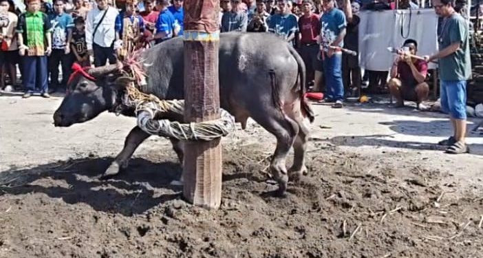 DESA THAWA LAKSANAKAN ACARA RITUAL TIWAH MASAL